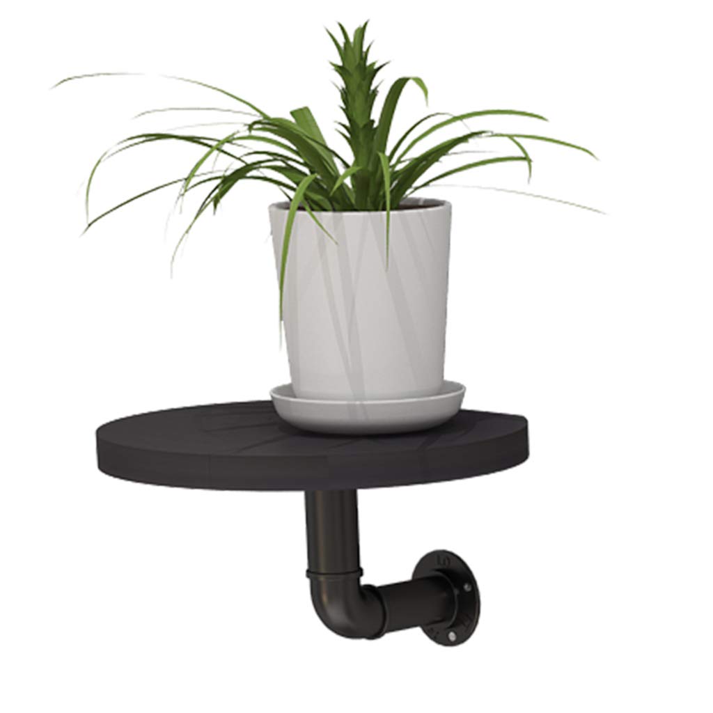 DQKHGFCAPG Wall-mounted Plant Pot Stand, Plant Display Stand, for Indoor, for Displaying Potted Antiques/587(Black,22CM Round)