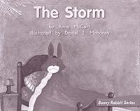 The Storm; Leveled Literacy Intervention, My Take-Home Books (Book 74, Level E, Fiction) Green System, Grade 1 0325018944 Book Cover