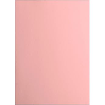 Vaessen Creative Florence Cardstock Paper Pink 216 g/m  DIN A4 Pack of 10 Smooth for Scrapbooking Card Making Punching and Other Paper Crafts 2927-017