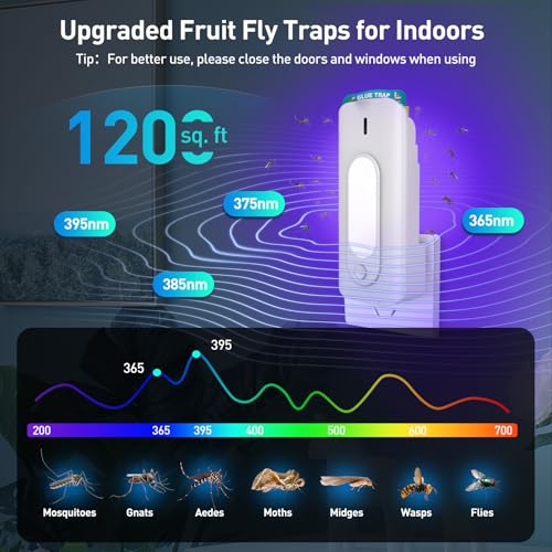 Image of Fruit Fly Trap for Indoors with 10 Refills, 2 in 1 Fly Trap Indoor with Night Light for Home, Gnat Traps for House Indoor, Plug-in Insect Trap for Gnats, Flies, Moths, and Other Bugs-White
