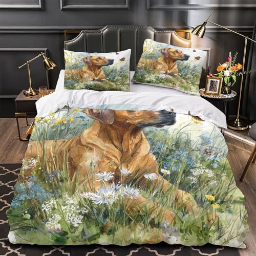 Housse de couette dinosaure surf facile à laver avec zip résistant