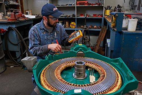 Fluke 1587 FC 2-in-1 Insulation Multimeter, True-RMS, Selectable Insulation Test Voltages Up To 1000 V, Pi/DAR Timed Ratio Tests, Measures Frequency, Includes Low-Pass Filter For Motor Drive VFD