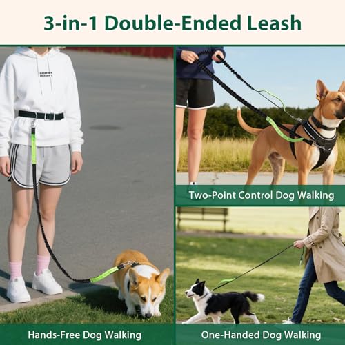 Euqvunn 3-in-1 Doppelte Gepolsterte Griffe Hundeleine – 1,6m bis 2,2m, Elastische Joggingleine Hunde Zubehör für Mittelgroße Hunde, Ideal für Laufen, Spazierengehen, Wandern & Reisen