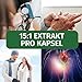 Green Naturals® Schwarzer Knoblauch Kapseln - Hochdosiert: 750 mg (15:1 Extrakt) - Entspricht 11250 mg Tagesdosis - Black Garlic