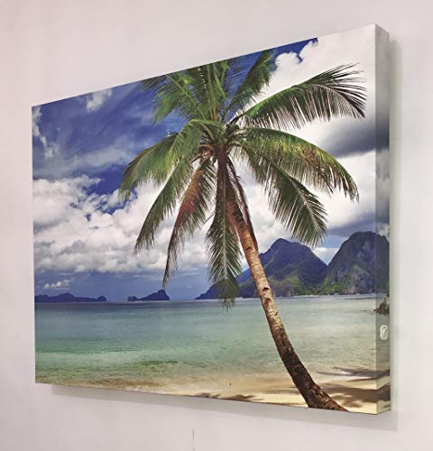 Tableau éclairé avec LED Palmier Ccretro-luminados en méthacrylate multicolore 60 x 80 cm