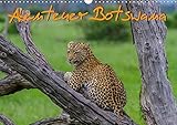 Abenteuer Botswana Afrika - Adventure Botswana (Wandkalender 2019 DIN A3 quer) - Frank Struckmann