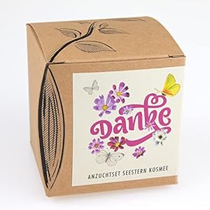 Geschenk-Anzuchtset „Danke“ mit der Seestern Kosmee, tolle Geschenk-Idee aus dem naturkraftwerk, ein Dankeschön für Gartenfreunde, HobbygärtnerInnen, uvm.