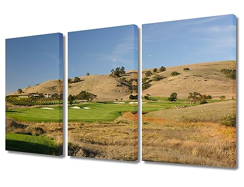 Décoration murale golf de Californie encadrée pour habiller un grand mur vide