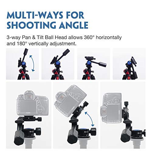 Tripod Fluid Drag Pan Head, Moman Camera Tripod Head With Handle And Quick Release, Lightweight Pan Tilt Head Max Load 22Lbs/10Kg For Video Dslr Cameras And Light Stand, Video-Camera-Tripod-Fluid-Head #TOP1