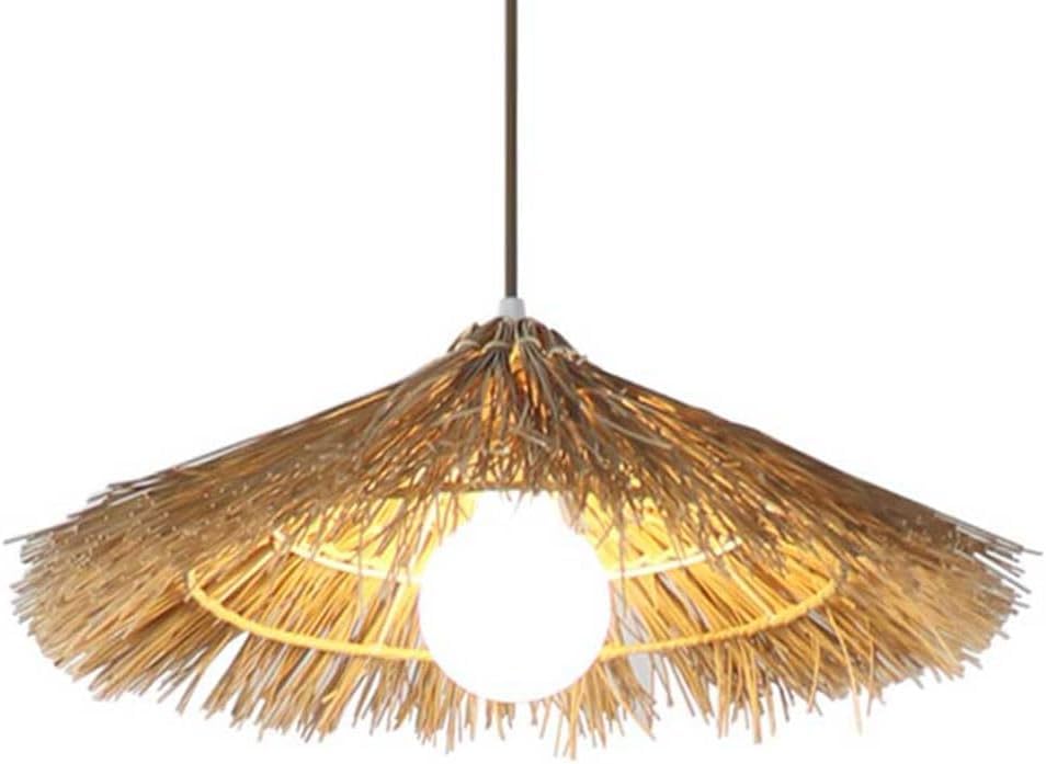 Panier en osier suspendu pour lampe et cage de rotin tissé au style côtier naturel