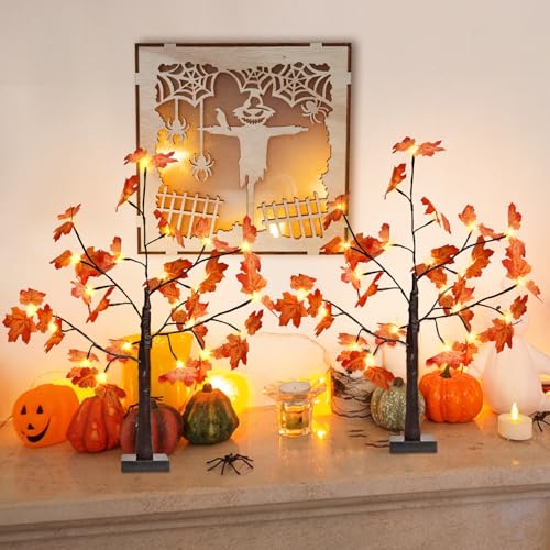 EEW 2FT Lighted Maple Tree, Artificial Tabletop Lamp with Timer, Warm White Pre-lit LED Fall Maple Tree USB/Battery Operated for Indoor Outdoor, Electric Lights for Christmas Tree