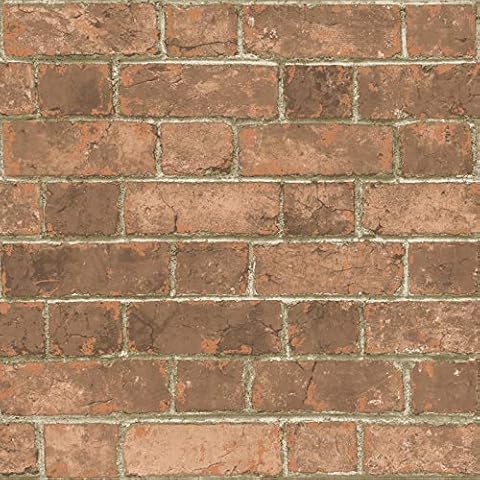 Rustic Robinson House Brick Effect Realistic Mural Feature Wallpaper (Red) Cover
