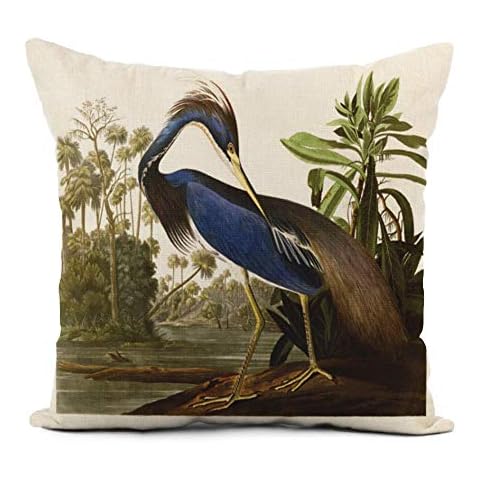 Topyee 18x18 Inch Audubon Blue Pillow Cover Cover