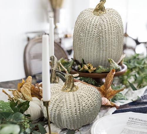 Juncox SPECKLED 2 Pcs Fall Pumpkin Decor, Gold Resin Pumpkin Figurines, Fall Decorations For Home, Rustic Farmhouse Neutral Artificial Pumpkin Statues thumb #2