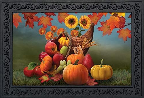 Briarwood Lane Bountiful Cornucopia Autumn Doormat Fruit Flowers Fall Indoor/Outdoor 18"x30"