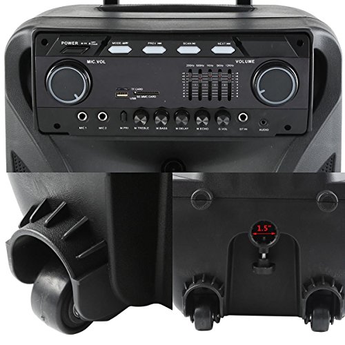 Tengchang Pro 12" Series Speaker Karaoke Machine DJ PA System Bluetooth Dual with Wireless Mics
