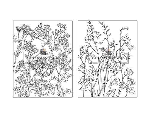 100 Beautiful Flowers Coloring Book: An Adult Coloring Book Featuring 100 Beautiful Flower Designs I