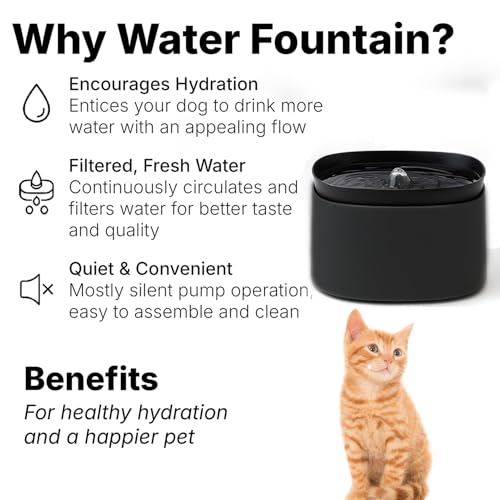 Image of Automatic Pet Water Fountain for Cats and Dogs | Ultra-Quiet | BPA-Free & Easy to Clean | Large Capacity Water Dispenser | Promotes Fresh Hydration | Indoor Fountain for Small Cats (Black)