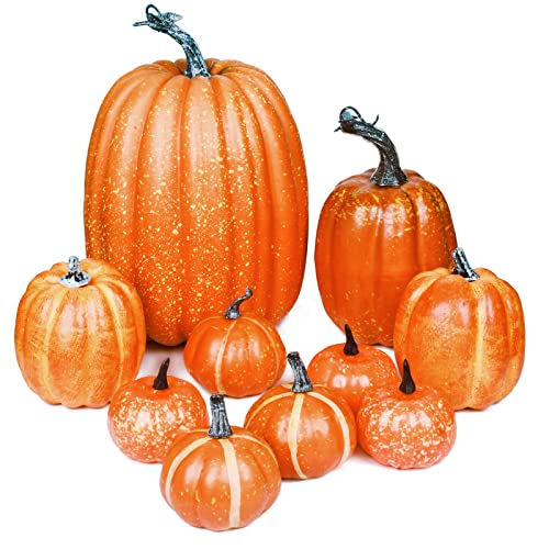 Cymax 10 Stück Zucche Decorative Autunnali,Grande
