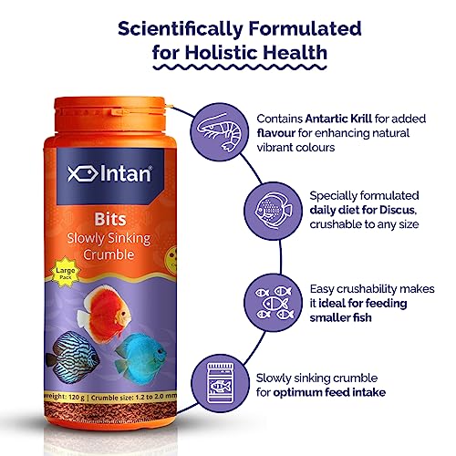 Image of Intan - Bits, All Life Stages, Granule, Fish, 180 Grams, 1 Count