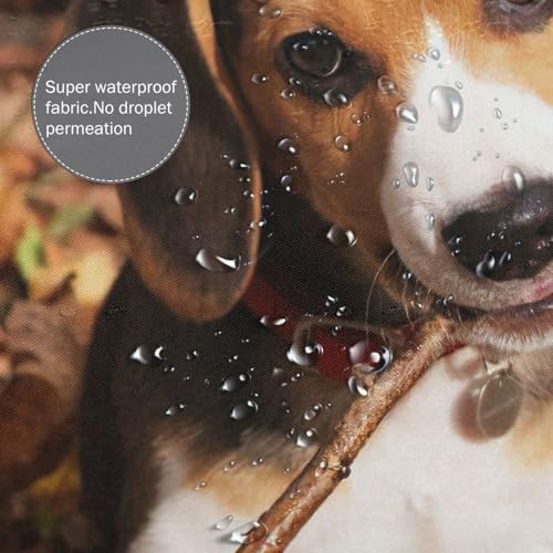 Rideau de douche beagle en polyester 183x183 cm avec 12 œillets