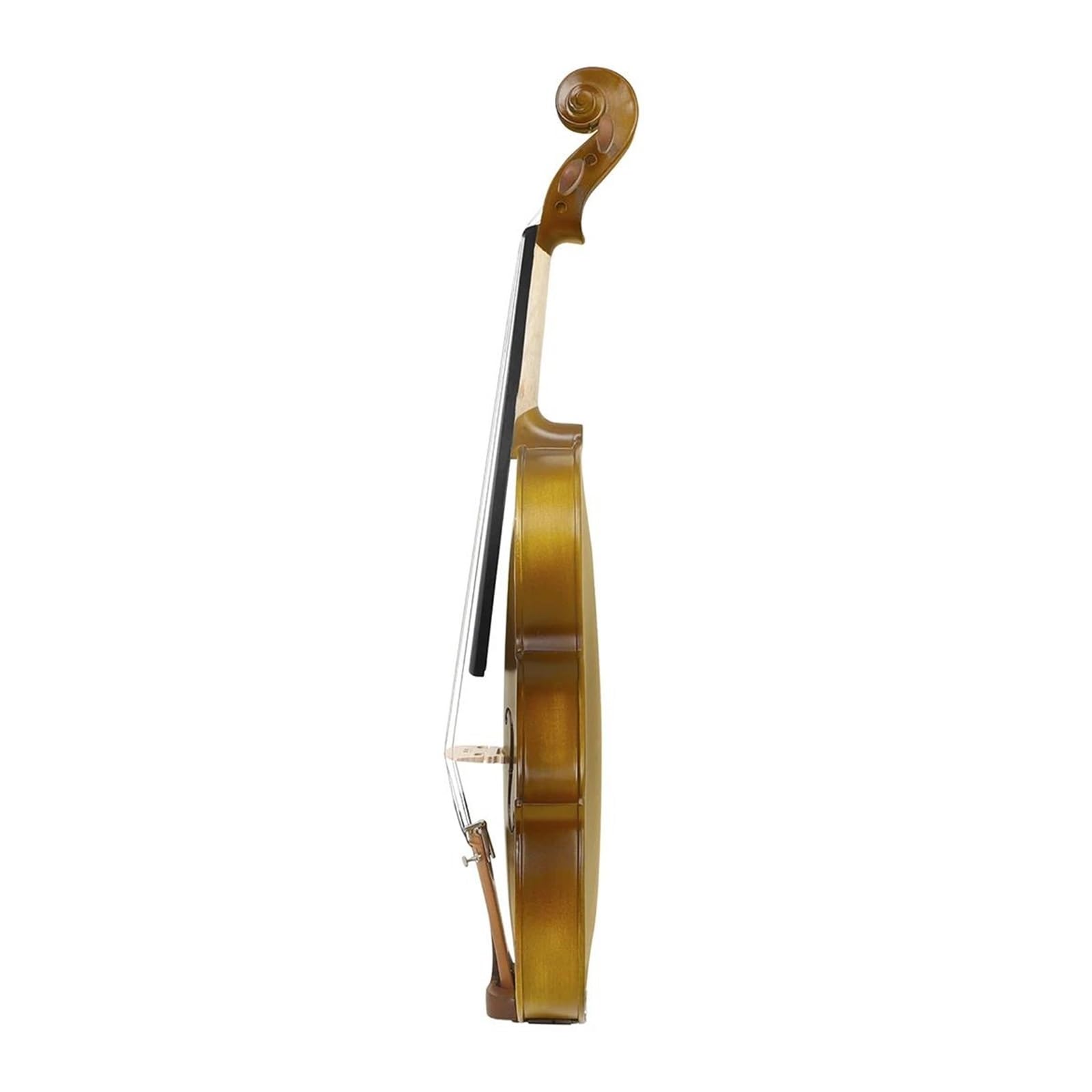 Amazon.com: Violin Violin 4/4 Rosewood Beginner Practice