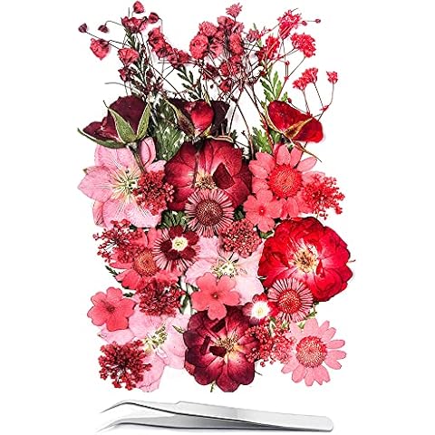 YouthBro Red Dried Pressed Flowers for Resin Molds,Real Natural Pressed Flowers for DIY Art Crafts,Candle Making, Nails Décor,Soap Making, Phone Case Cover
