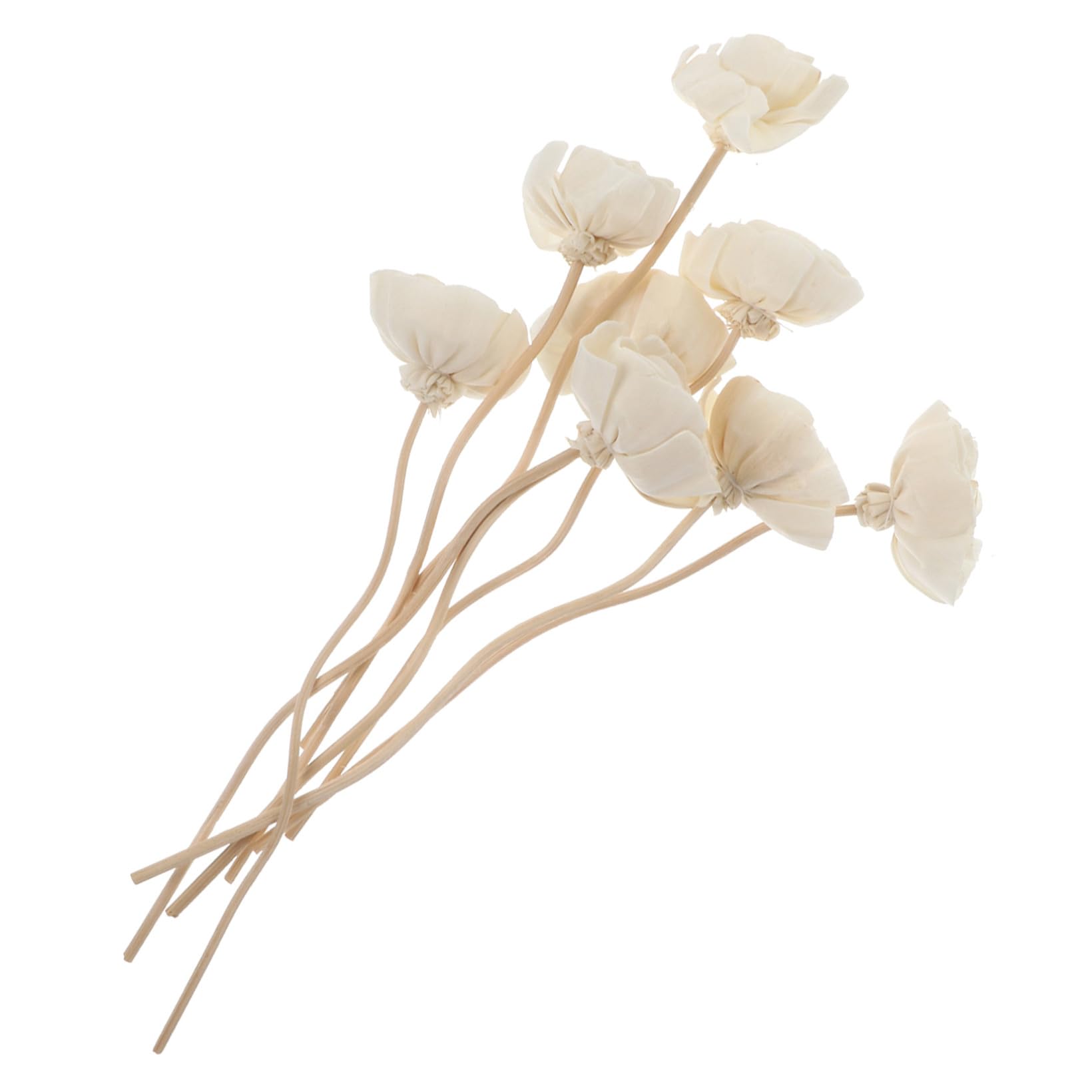 Ciieeo Mikado 32 Piezas Flor De Tong Difusor Aromas Ambientador Natural Aceite Difusores De Aceite Perfumado para Decoración Xherramienta Difusor De Perfume