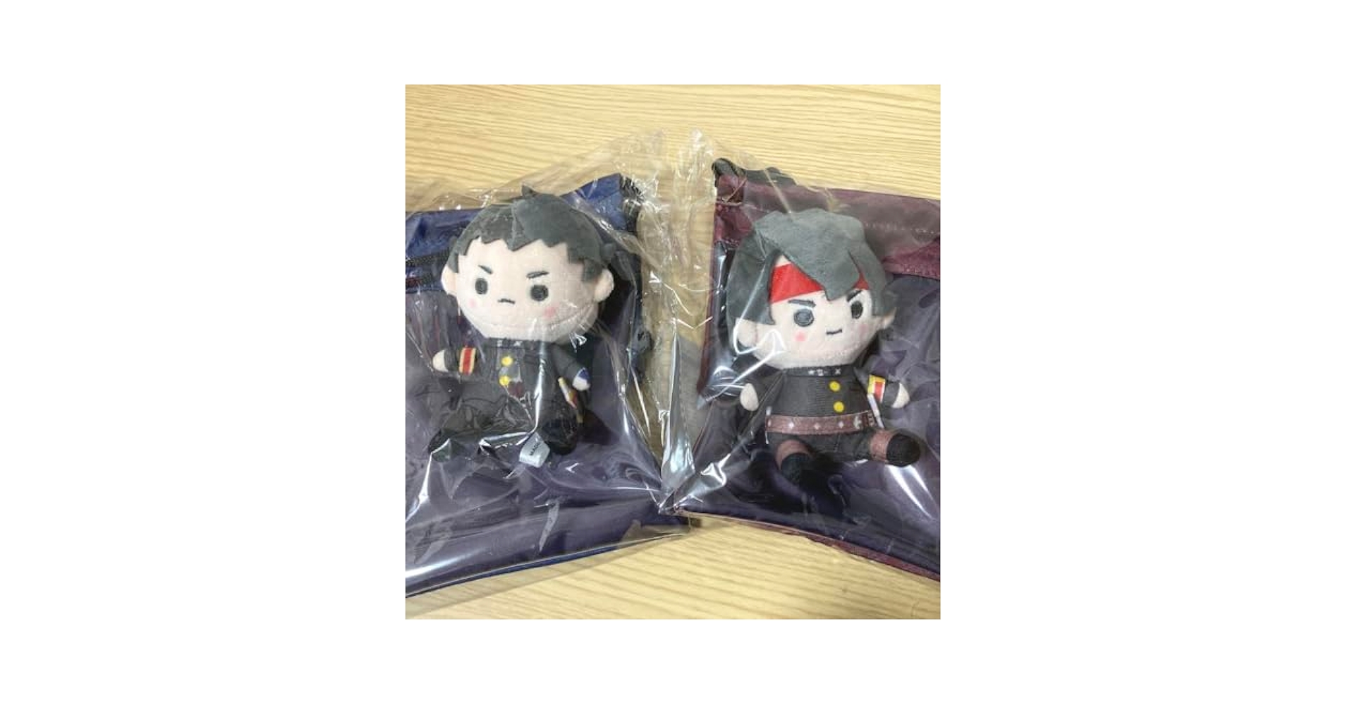 Amazon.co.jp: 大逆転裁判 ミニぬいぐるみ 巾着セット 龍ノ介&亜