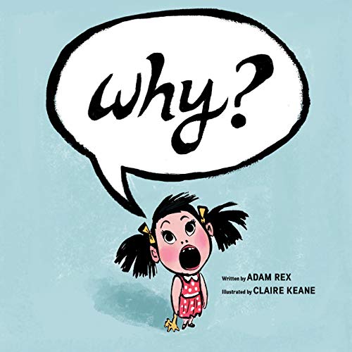 Why? view 2
