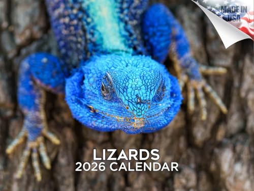 2025 2026 gJQ - ঒ތԕǊ|J_[ - 12C` x 18C` J - ŌoȂ - Mtg - AJf~bNeB[`[Yvi[J_[̐ƌv