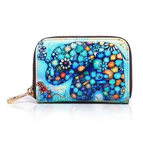 Preisvergleich Produktbild Kreditkartenetui für Damen Echtes Leder Kreditkartenmäppchen Visitenkartenetui Reißverschluss RFID Schutz mit 10 Fächer Cartoon Muster Akkordeon Stil ID Karte Geschenkbox(SFQ-001)