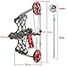 Steel Ball Archery Compound Bow Kit - 35 Lbs Dual-Purpose Right and Left Handed Bow for Outdoor Hunting and Shooting