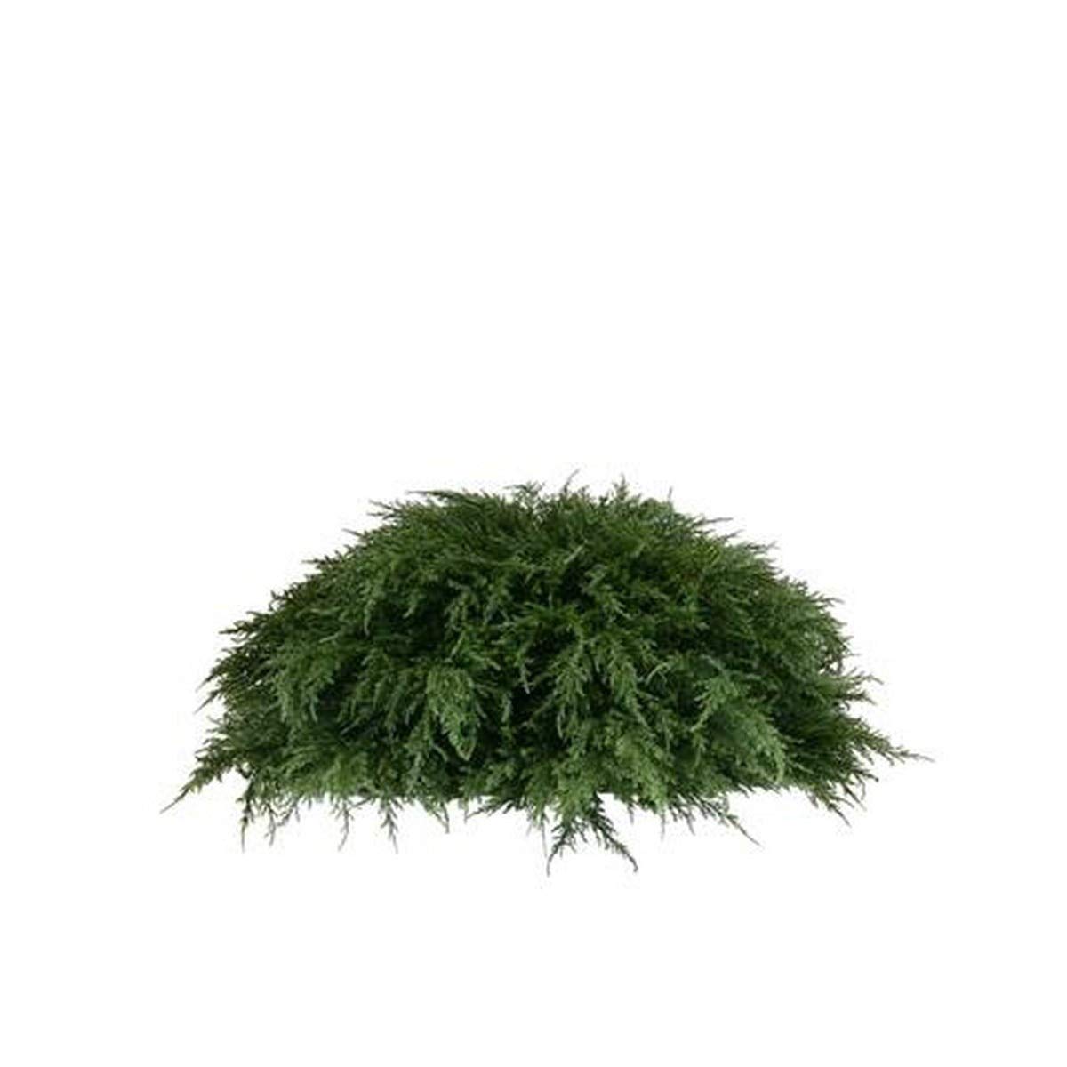 Buy One 36 inch Wide by 15" Tall Indoor Outdoor 3 Foot Artificial