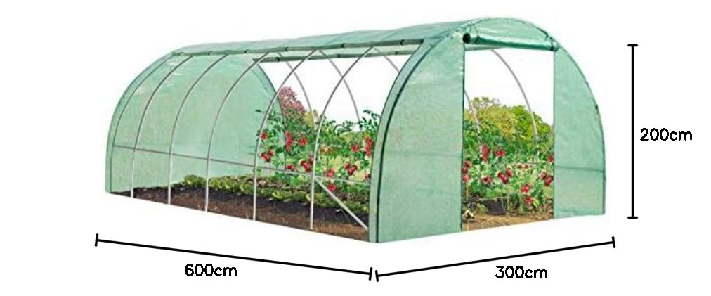 IDMarket – Invernadero de jardín túnel 18 m² 6 x 3 x 2 m acero galvanizado + lona UV con puerta y ventanas CRIMÉ verde todas las estaciones