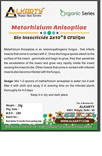 Metarhizium Anisopliae Bio Insecticide, 1kg for palnt