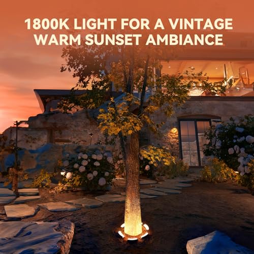 Image of LEONLITE 6-Pack Update 5CCT Low Voltage Landscape Tree Ring Lights, IP65