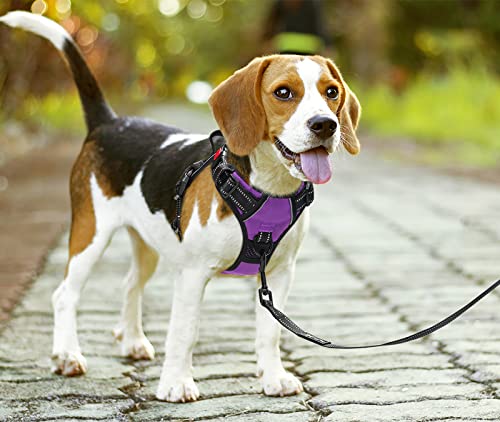 PoyPet No Pull Dog Harness with Neck Release Buckle, Reflective No-Choke Harness with 2 Leash Clip - Image 2