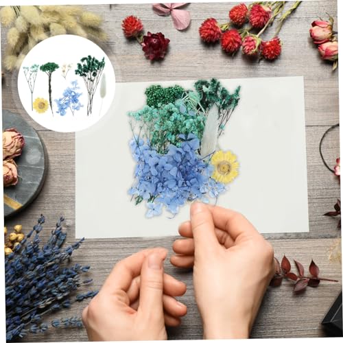 Kit artesanal de flores secas naturales CORHAD miniatura 4