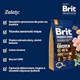 VAFO PRAHA s.r.o. Brit Premium z natury 1 kg dla dorosłych m / 10
