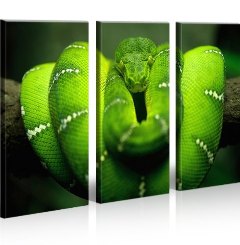islandburner Bild Bilder auf Leinwand Grüne Mamba Gift Schlange XXL Poster Leinwandbild Wandbild Dekoartikel Wohnzimmer Marke