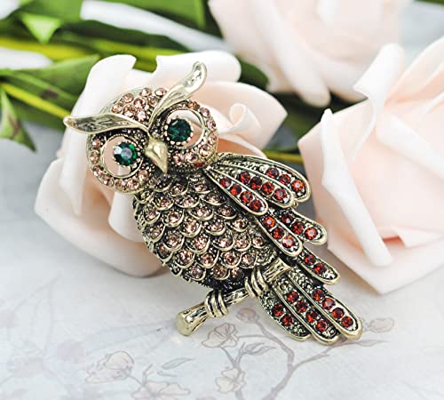 Image of Gyn&Joy Womens Crystal Rhinestones Perched Owl Bird Brooch Pin