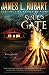 Soul's Gate (A Well Spring Novel Book 1)