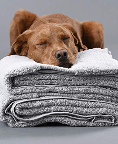 Delilah Home 100% Organic Bath Towels Set | Thick, Ultra-Soft, & Absorbent Turkish Cotton Towels | Uncompromising Quality/Durability | Eco-Friendly & Vegan (13X13, 16X30, 30X54) | Pack Of 6, Green #TOP1
