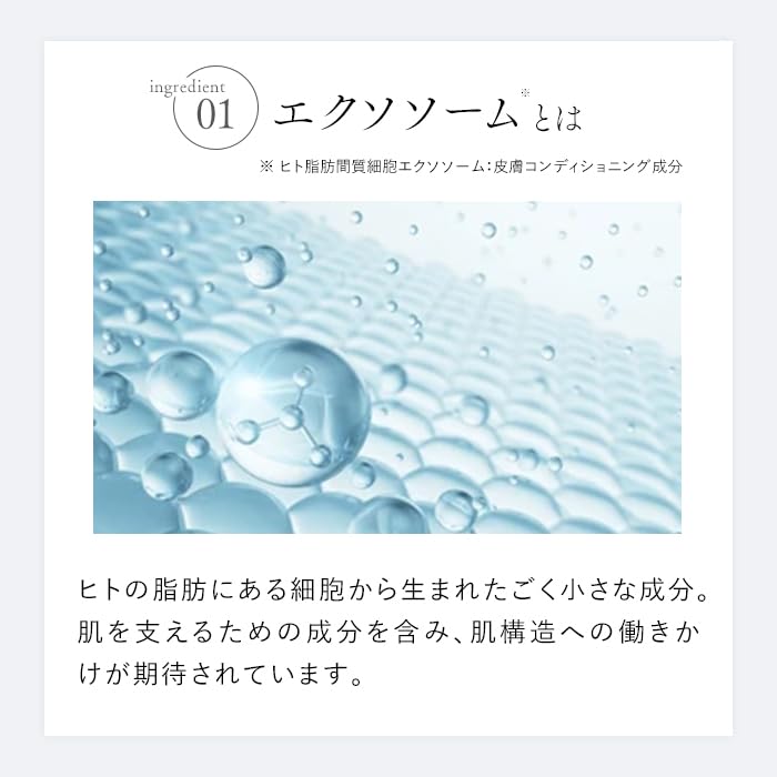 Amazon | STELLA BEAUTE エクソソーム リフトクリーム 30g 高保湿