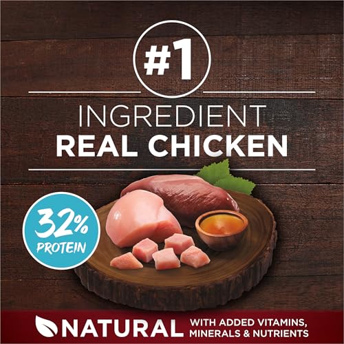 Purina ONE True Instinct High Protein Dry Puppy Food, 27.5 lb - image 3