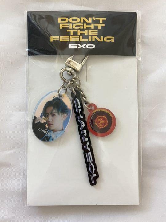 Amazon.co.jp: DFTF EXO キーリング チャニョル K-POP : おもちゃ