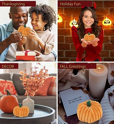 DolliBu-Large-Pumpkin-Plush-Spooky-Plush-Pumpkin-Toy-for-Teddy-Bear-Stuffed-Animal-Cute-Halloween-Decor-Party-Favor-and-Crafts-Thanksgiving-Mini-Pumpkin-Plush-Toy-4-Inch DolliBu Large Pumpkin Plush Spooky Plush Pumpkin Toy for Teddy Bear Stuffed Animal Cute Halloween Decor Party Favor and Crafts Thanksgiving Mini Pumpkin Plush Toy 4 Inch