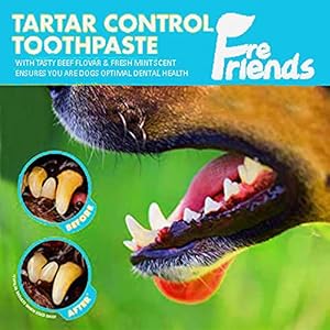 Fresh Friends Enzymatic Toothpaste for Dogs | Puppy Toothpaste | Gum Toothpaste | Improves Gum Health | Eliminates Bad Breath, Dog Toothpaste Tartar Remover & Plaque Remover | Dog Dental Care (Beef)