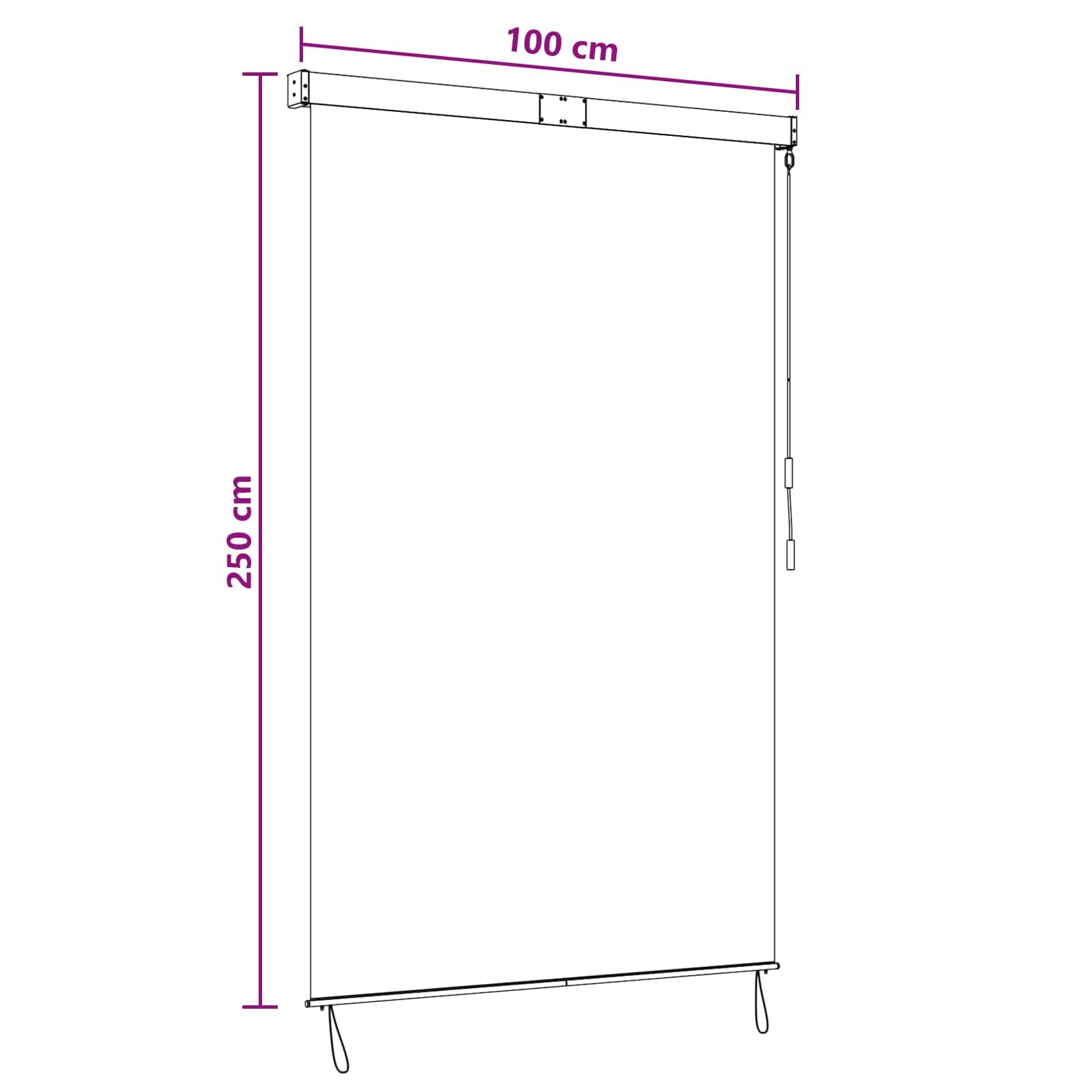 Store Enrouleur Extérieur à Manivelle 100 x 250 cm, Store Vertical pour Balcon et Terrasse, Rideau d'Extérieur en Polyester et Aluminium, Anthracite et Blanc